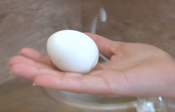 हर कोई एक अंडा एक आदर्श Gorny खाने के लिए चाहता है! / फोटो स्रोत: youtube.com/channel/UCagplR5T275T6em4AQOYNbQ