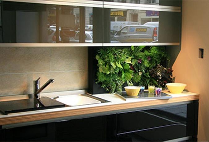 रसोई में साग - घर के पौधों का उपयोग करने के लिए नए विचार