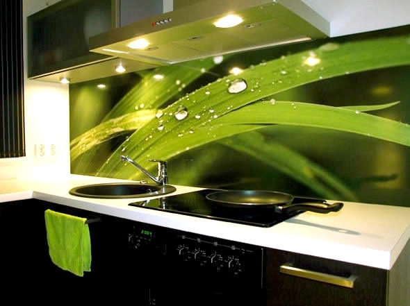 कांच (चमड़ी) से बनी रसोई में हरी दीवारें - तेज और उज्ज्वल