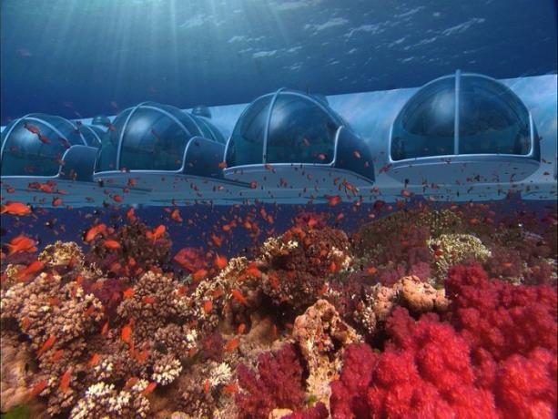 फिजी के द्वीपसमूह में पानी के नीचे होटल। | फोटो: s-media-cache-ak0.pinimg.com।