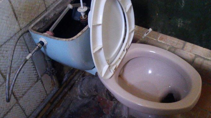 सोवियत शौचालय: बेहोश और निर्दयी?