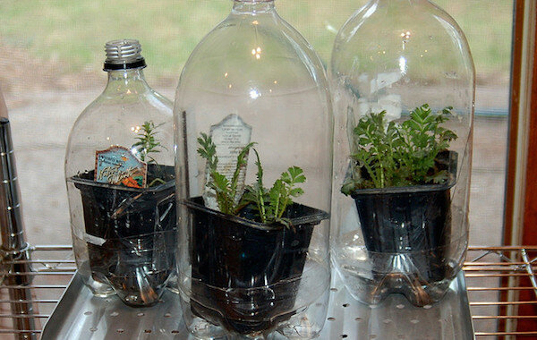 देखें: http://www.agfoundation.org/images/uploads/_660w/greenhouse_bottles.jpg