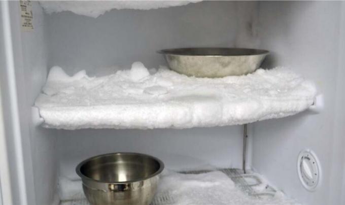 कैसे रेफ्रिजरेटर और धोने defrost करने के लिए?