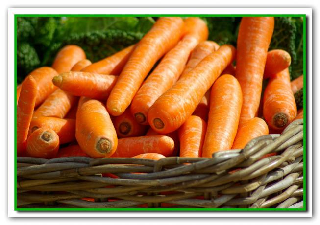 आपका गाजर 4-5 दिनों से वृद्धि होगी