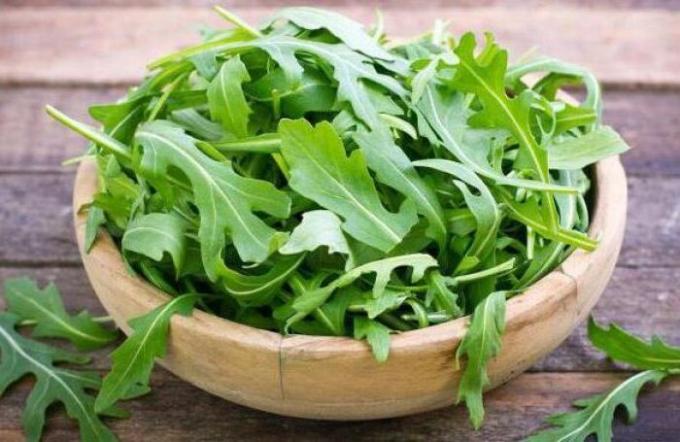 Rucola। इसके क्या लाभ हैं और यह इतना लोकप्रिय क्यों है