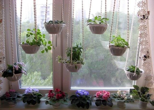 पौधों के साथ मूल खिड़की की सजावट