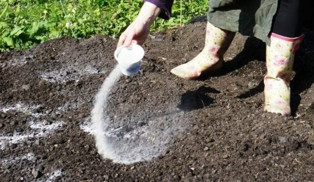 अम्लीय मिट्टी की चूना। एक लेख के लिए चित्रण एक मानक लाइसेंस © ofazende.ru के लिए प्रयोग किया जाता है