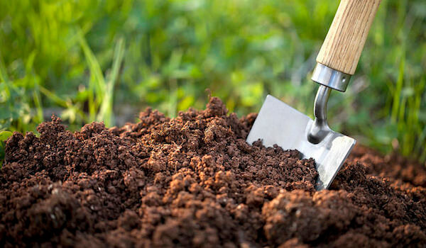 स्वतंत्र रूप से बगीचे में मिट्टी के प्रकार का निर्धारण