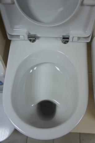 एक "शेल्फ" या "थाली" के साथ शौचालय।