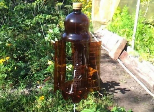 बगीचे में प्लास्टिक की बोतलों की उपयोगी उपयोग (भाग 2)