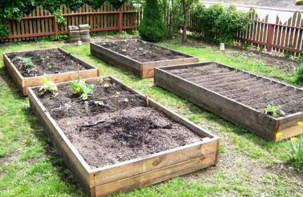 कैसे बड़े वित्तीय निवेश के बिना बगीचे में मिट्टी मिट्टी में सुधार होगा। मेरा अनुभव